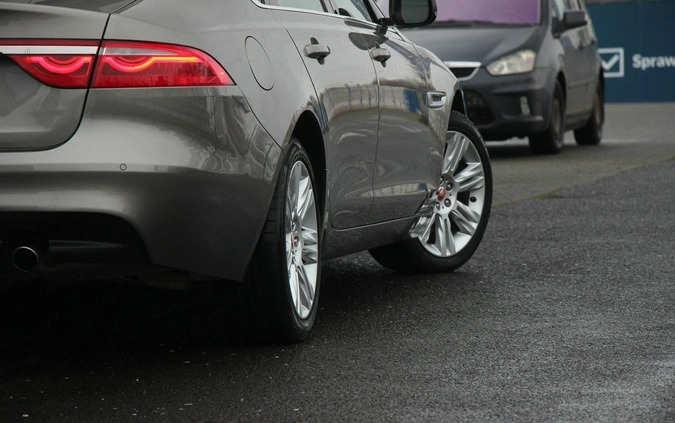 Jaguar XF cena 125990 przebieg: 23000, rok produkcji 2018 z Łasin małe 781